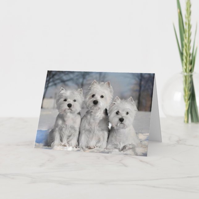 Tarjeta Tres Westies en la Nieve (Anverso)
