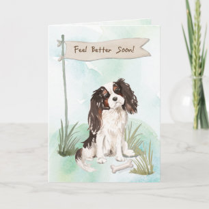 Tarjeta Tri Color King Charles Spaniel Se Siente Mejor con