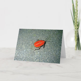 Tarjeta Tribulación de Cabo