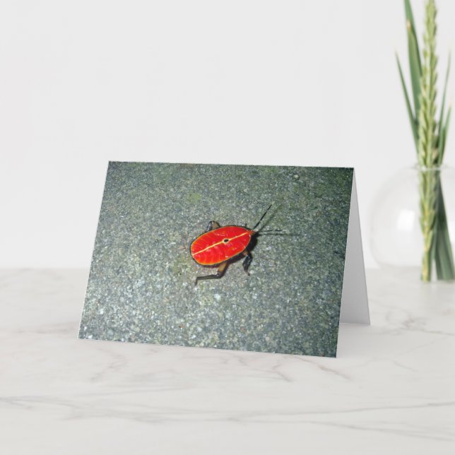 Tarjeta Tribulación de Cabo (Anverso)