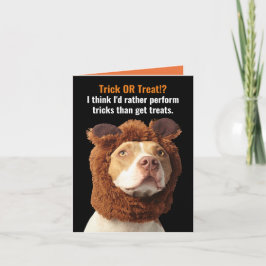 Tarjeta Trick de Pitbull o trébol americano: Humor de Hall