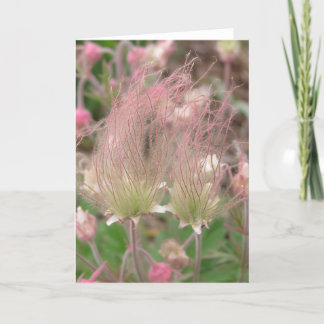 Tarjeta Triflorum del Geum