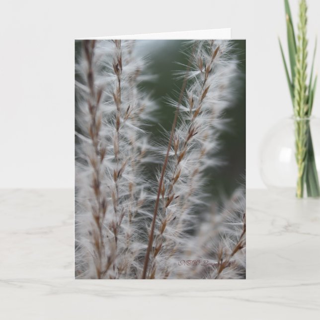 Tarjeta Trigo de invierno (Anverso)