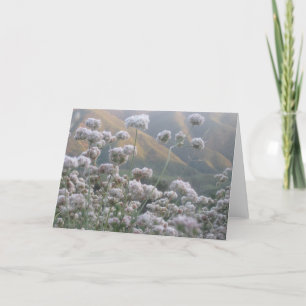 Tarjeta Trigo negro de California