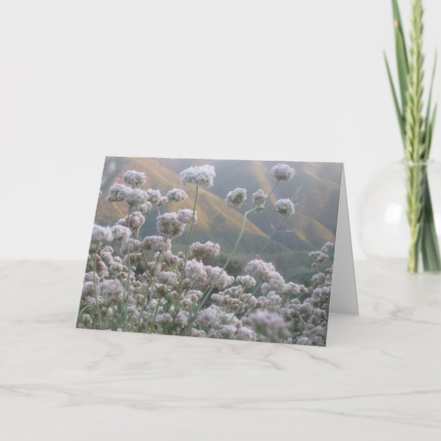 Tarjeta Trigo negro de California (Anverso)