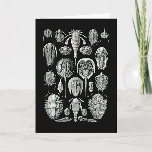 Tarjeta Trilobites y escorpiones de mar (Anverso)