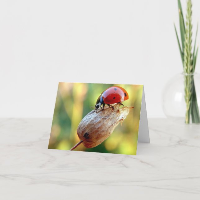 Tarjeta Trinchera (Anverso)