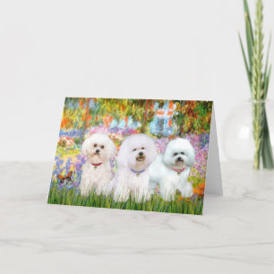 Tarjeta Trío de Bichon Frise - Jardín (VG)