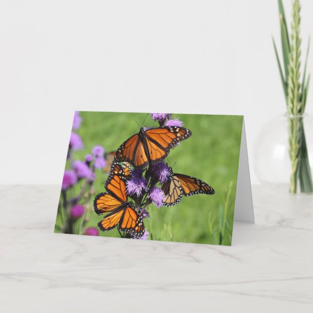 Tarjeta Trío del monarca (Anverso)