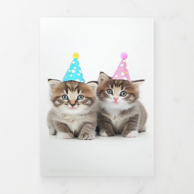 Tarjeta Tríptica Cute Kittens Birday Card 2 (Foto de portada)