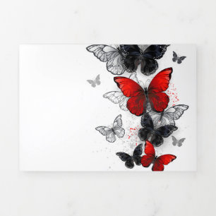 Tarjeta Tríptica Mariposas Morpho voladoras negras y rojas