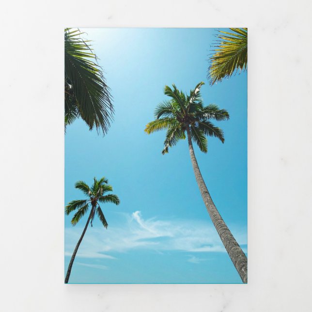 Tarjeta Tríptica palmeras de playa (Foto de portada)