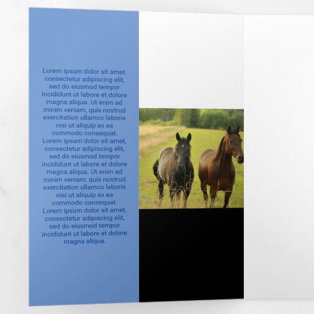 Tarjeta Tríptica Tono azul fresco al cuadrado del código Qr (Interior primer panel)