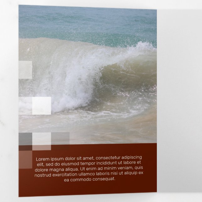 Tarjeta Tríptica Transparencia contemporánea de burdeos finos (Interior primer panel)