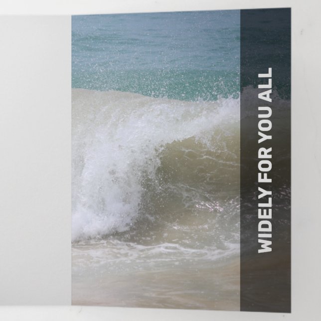 Tarjeta Tríptica Transparencia moderna y negra fresca (Interior último panel)