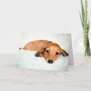 Tarjeta Triste cachorro que te falta