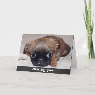 Tarjeta ¡Triste Cachorro! ¡Te Falta la tarjeta!