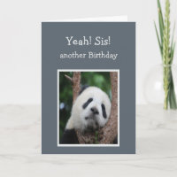 Triste Panda Oso Feliz Cumpleaños Hermana Humor