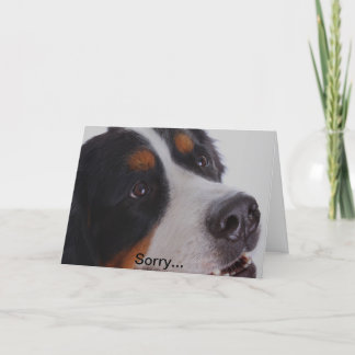 Tarjeta Triste, usted perdió a su mascota