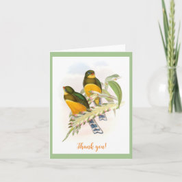 Tarjeta Trogón de Macklot (1850-1883) 