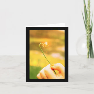 Tarjeta Tronco brillante del rizo de la cebolla