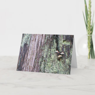 Tarjeta Tronco de árbol 2