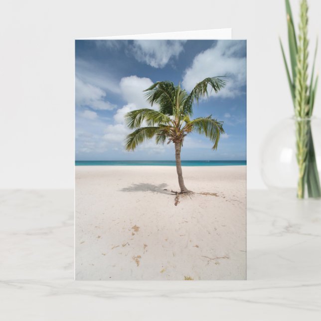 Tarjeta Tropical Beaches | Eagle Beach, Aruba (Anverso)
