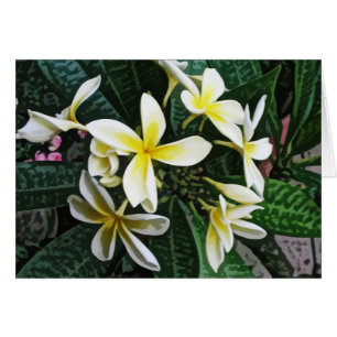 Tarjeta tropical del Plumeria