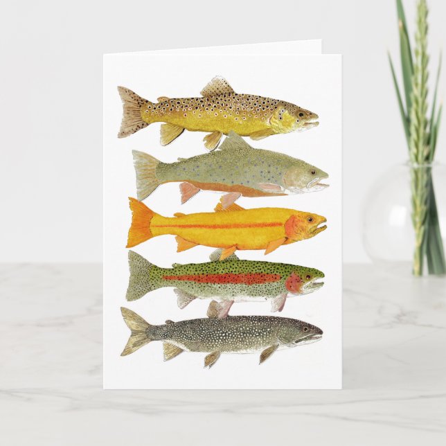 Tarjeta Trucha común de Pennsylvania (Anverso)