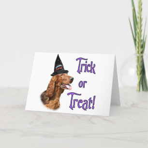 Tarjeta Truco de Irish Setter