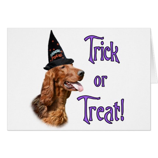 Tarjeta Truco de Irish Setter