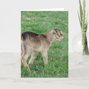 Tarjeta Truco de un día de antigüedad