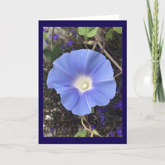 Tarjeta True Blue Morning Glory (Anverso)