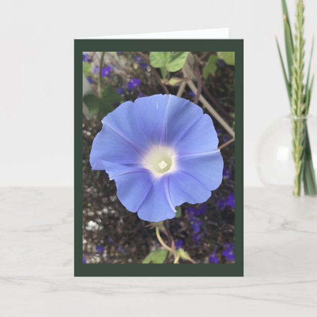 Tarjeta True Blue Morning Glory (Anverso)