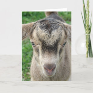 Tarjeta Trueno