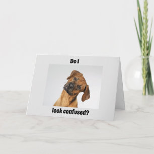 TARJETA ¡TÚ ERES "16" DICE UN CUMPLEAÑOS IMPORTANTE!