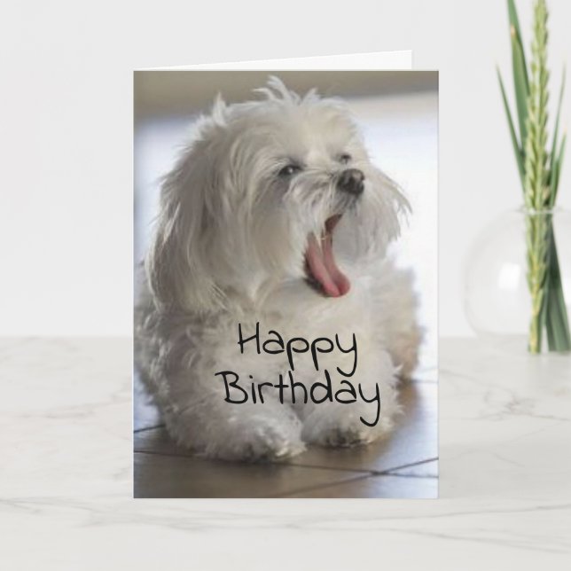 TARJETA TÚ ERES MI **VETERINARIO FAVORITO** CUMPLEAÑOS (Anverso)