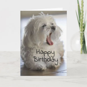 TARJETA TÚ ERES MI **VETERINARIO FAVORITO** CUMPLEAÑOS