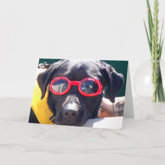 Tarjeta Tucker en Caninas Labrador para la Conservación de (Anverso)