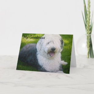 TARJETA "TUITEEN ALGÚN TIEMPO" DESEA EL CUMPLEAÑOS