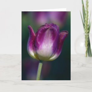 Tarjeta Tulip01