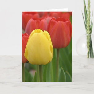 Tarjeta Tulip amarillo