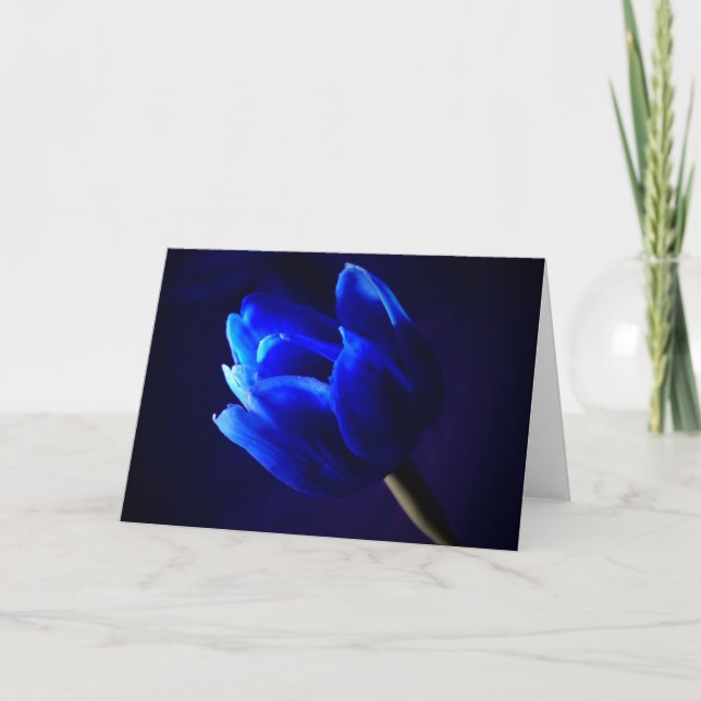 Tarjeta Tulip azul (Anverso)