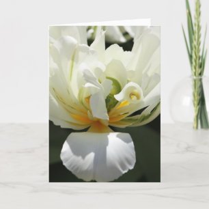 Tarjeta Tulip blanco