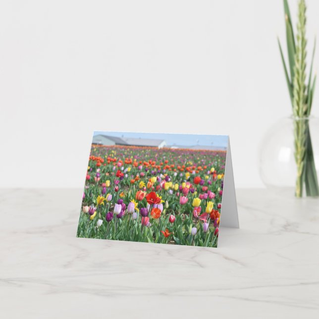 Tarjeta Tulip Flower Landscape Greeting Card (Anverso)