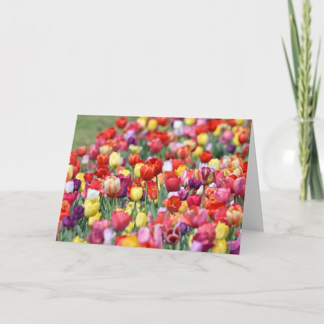 Tarjeta Tulip Flowers Greeting Card (Anverso)
