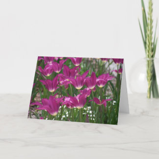 Tarjeta Tulip púrpura