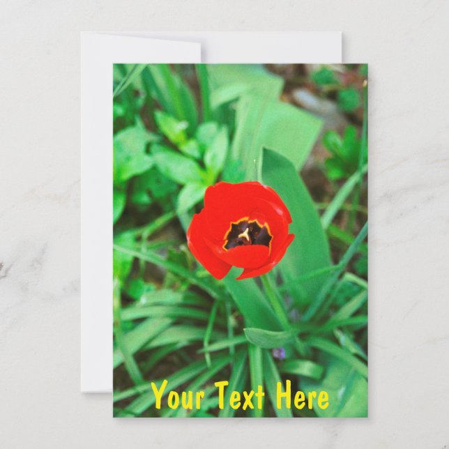 Tarjeta Tulip rojo personalizable (Anverso)