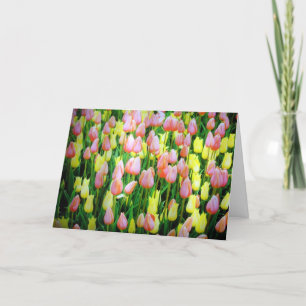 Tarjeta tulipán