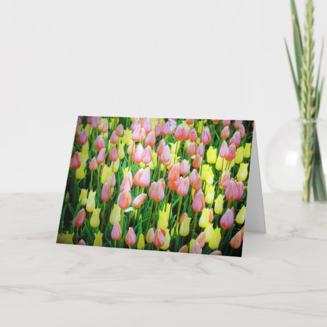 Tarjeta tulipán (Anverso)